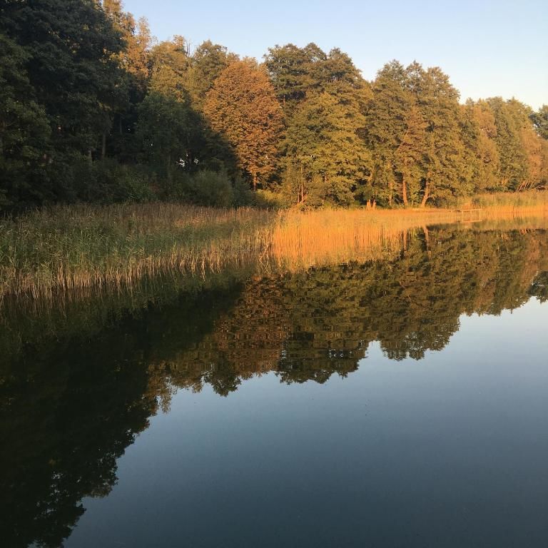Фермерские дома Dwór Szwałk Szwalk